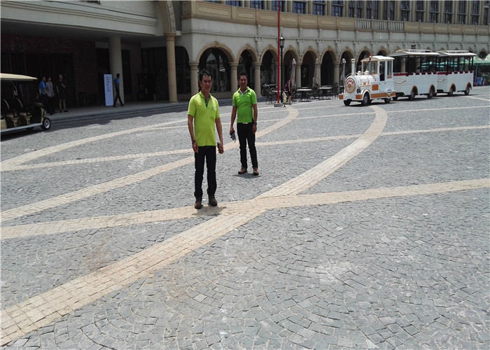 Conveyor Belt Vulcanizer for Belt Joint at Temperature Range of 0-200C and Curing Temperature of 145-199 Degree